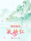 消失的乌托邦