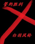 当厌A症遇到O装A