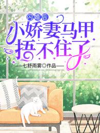蒸汽月球